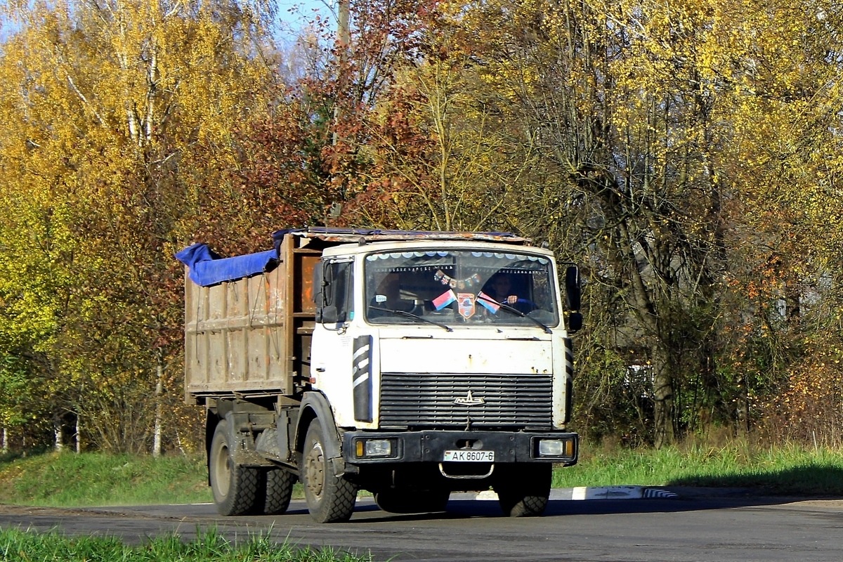 Могилёвская область, № АК 8607-6 — МАЗ-555142