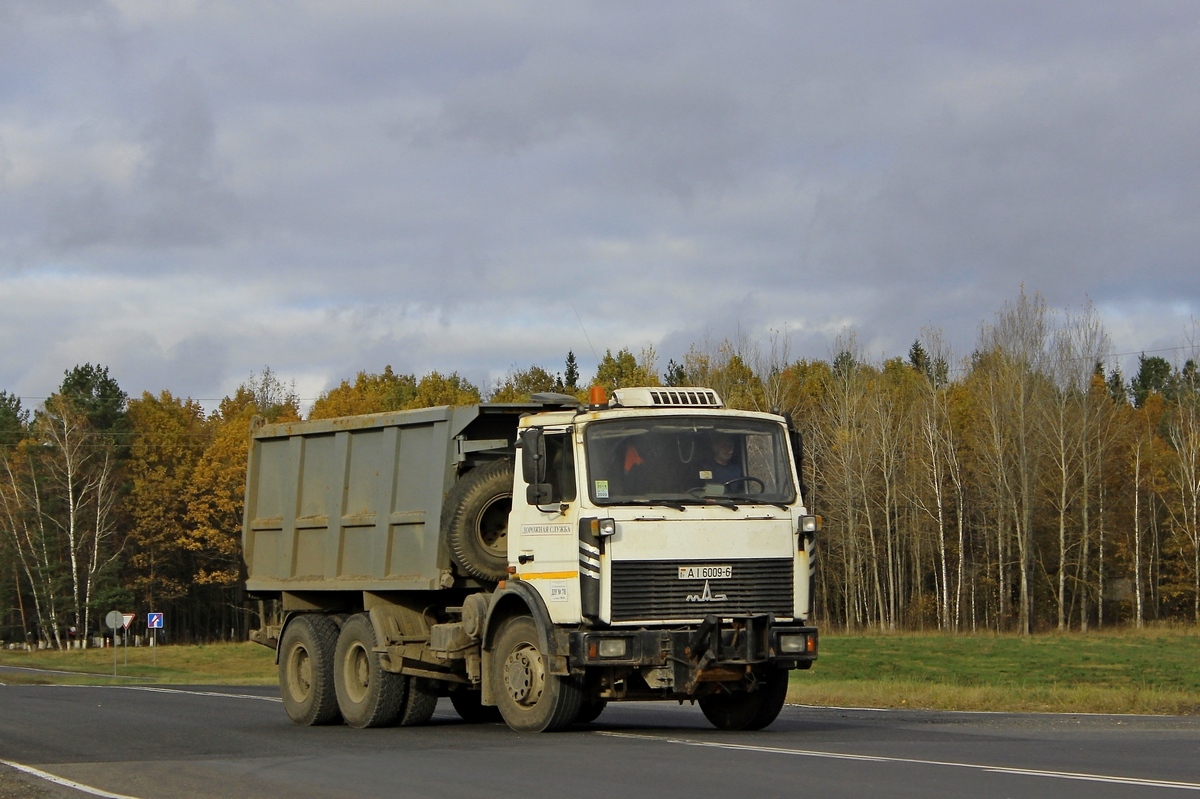 Могилёвская область, № АІ 6009-6 — МАЗ-5516 (общая модель)