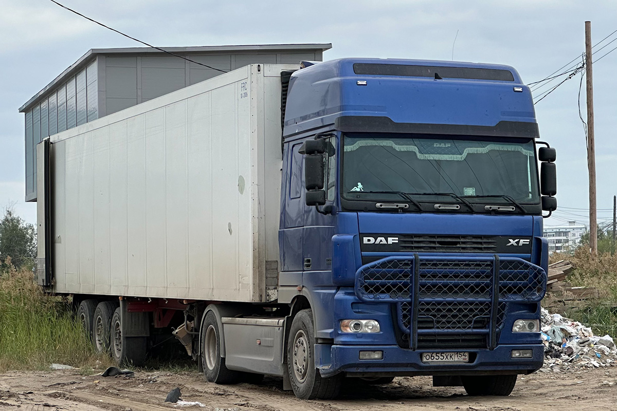 Новосибирская область, № О 655 ХК 154 — DAF XF95 FT