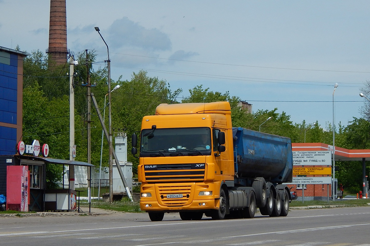 Белгородская область, № Н 202 НВ 31 — DAF XF105 FT