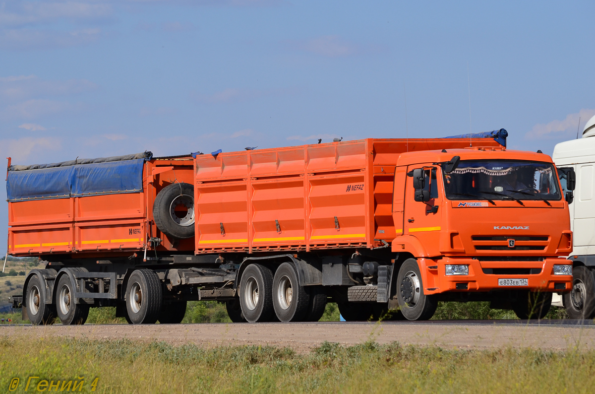 Волгоградская область, № Е 803 ЕВ 134 — КамАЗ-65115-L4