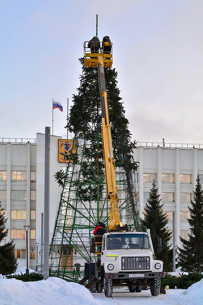 Архангельская область, № С 145 ХК 29 — ГАЗ-3309