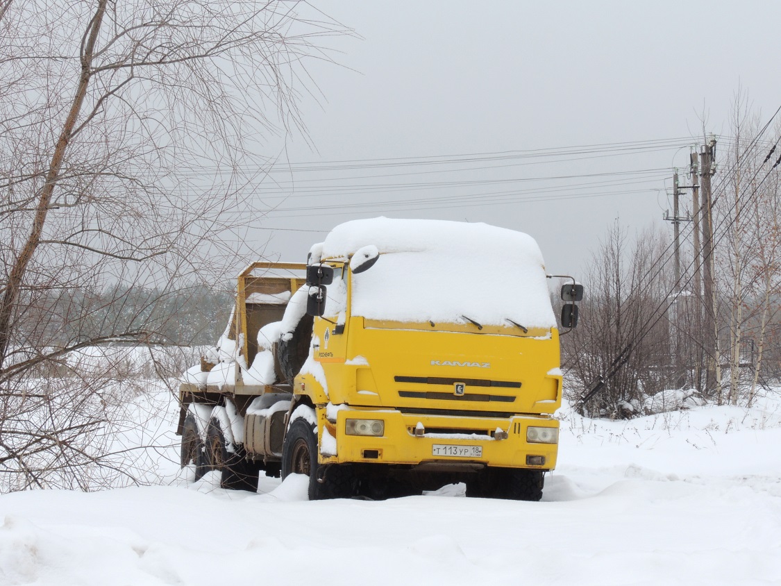 Удмуртия, № Т 113 УР 18 — КамАЗ-43118-46