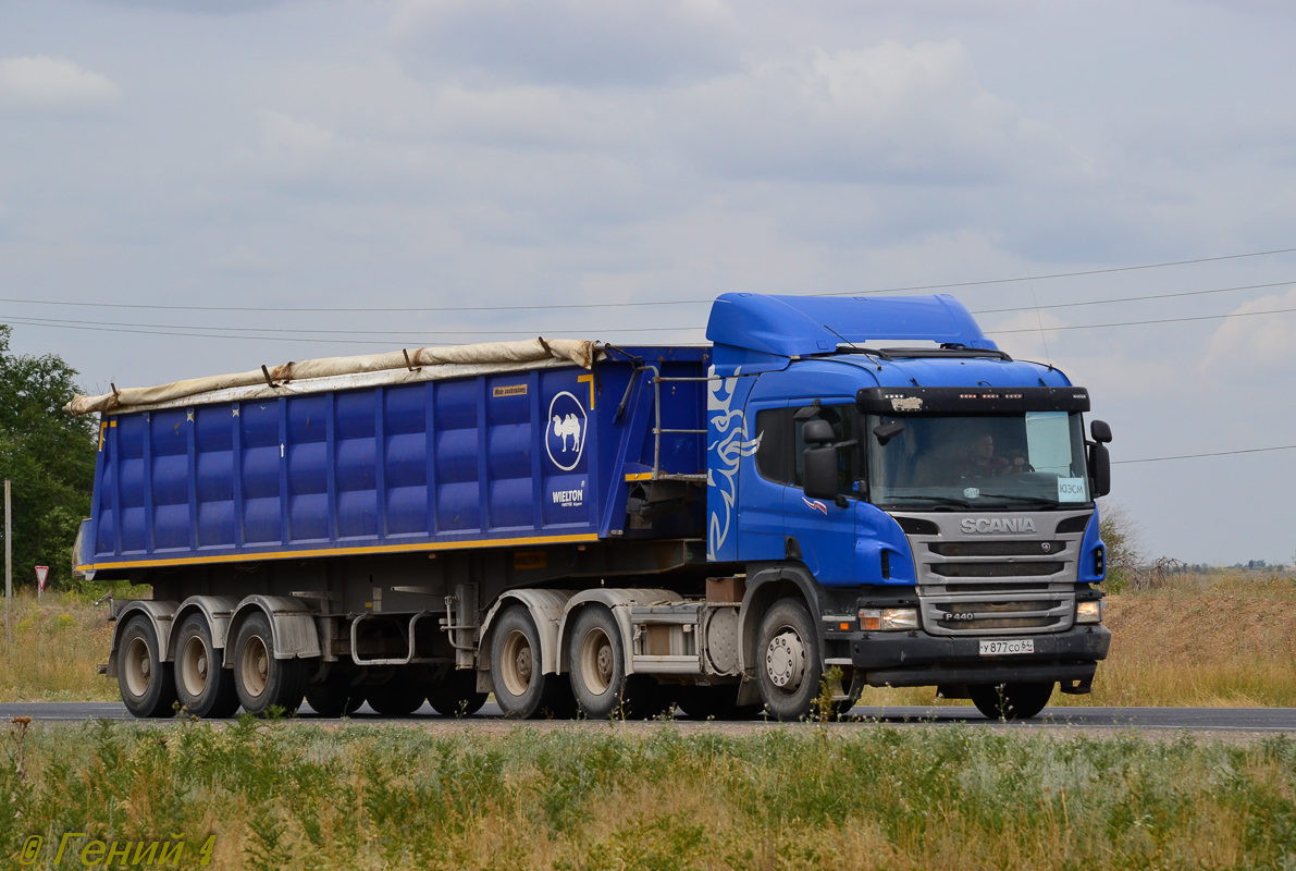 Саратовская область, № У 877 СО 64 — Scania ('2011) P440