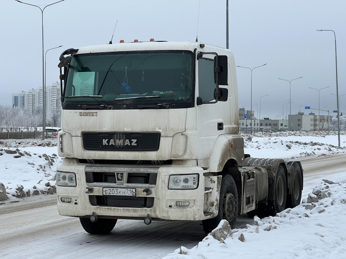 Татарстан, № Е 203 КН 716 — КамАЗ-65206-T5(68)