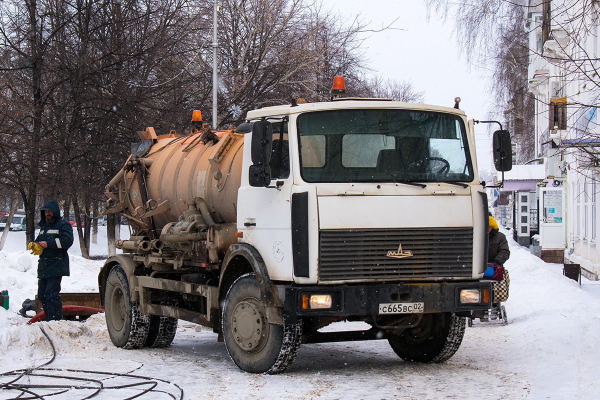 Башкортостан, № С 665 ВС 02 — МАЗ-533702