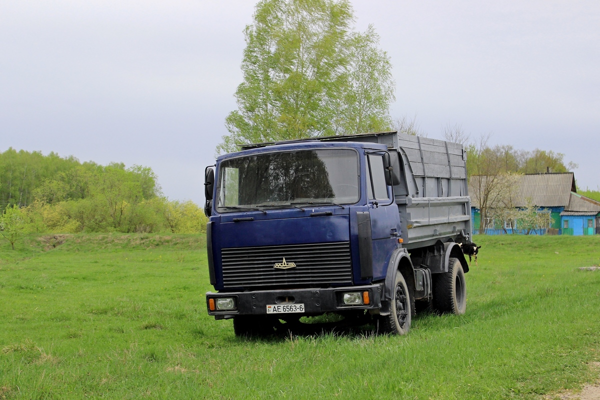 Могилёвская область, № АЕ 6563-6 — МАЗ-5551 (общая модель) Могилёвская область, № АЕ 6563-6 — МАЗ-5551 (общая модель)