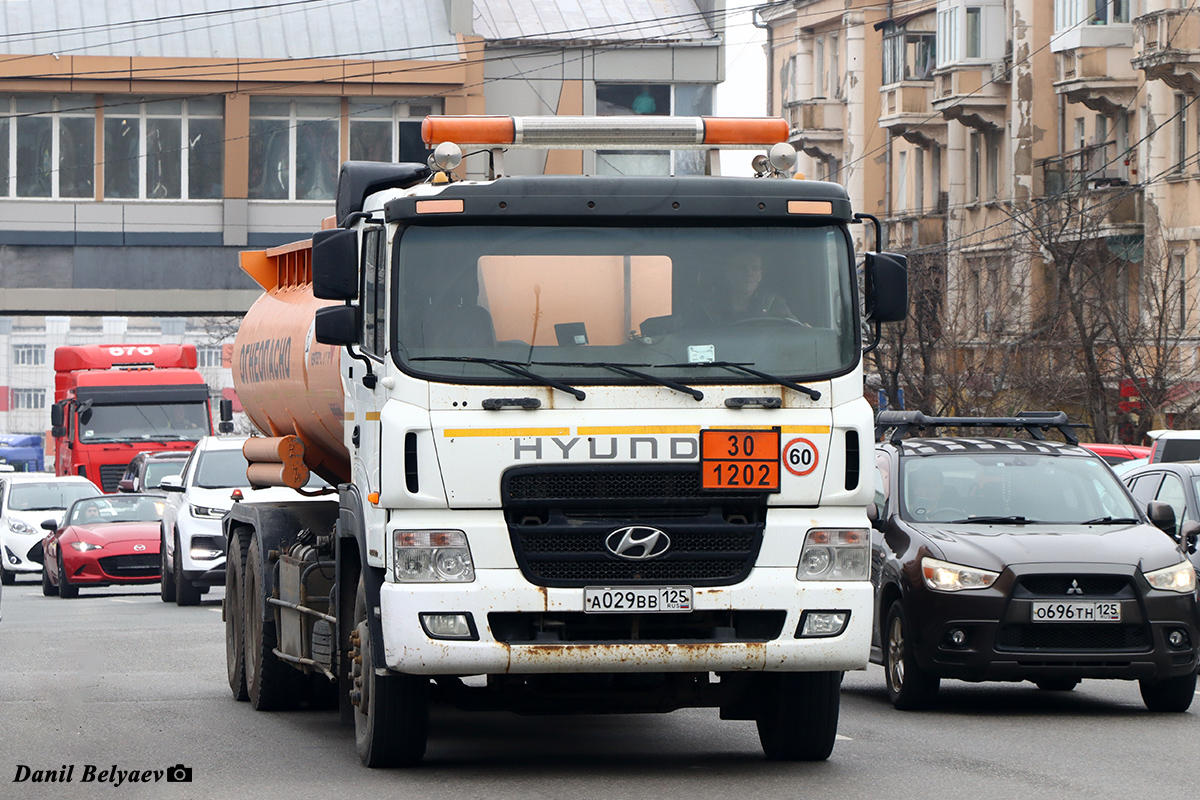Приморский край, № А 029 ВВ 125 — Hyundai Power Truck (общая модель) Приморский край, № А 029 ВВ 125 — Hyundai Power Truck (общая модель)
