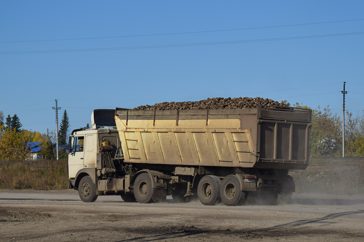 Алтайский край, № АН 4905 22 — МАЗ (общая модель)