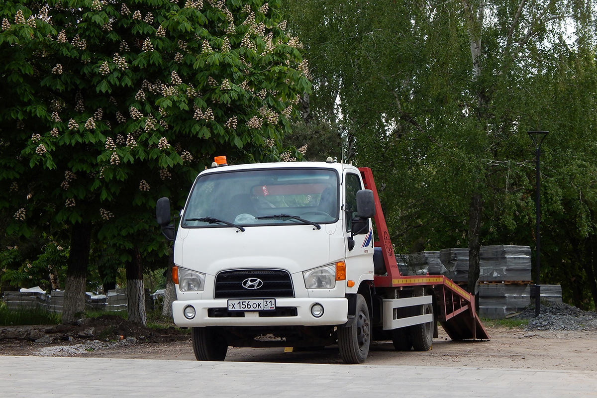 Белгородская область, № Х 156 ОК 31 — Hyundai HD65 ('2004) Белгородская область, № Х 156 ОК 31 — Hyundai HD65 ('2004)