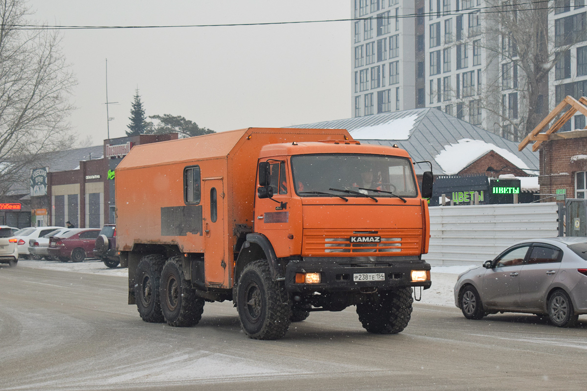 Алтайский край, № Р 238 ТЕ 154 — КамАЗ-43114-15 [43114R]
