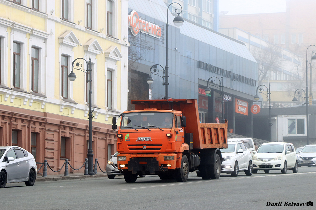 Приморский край, № В 373 НМ 125 — КамАЗ-53605 (общая модель)