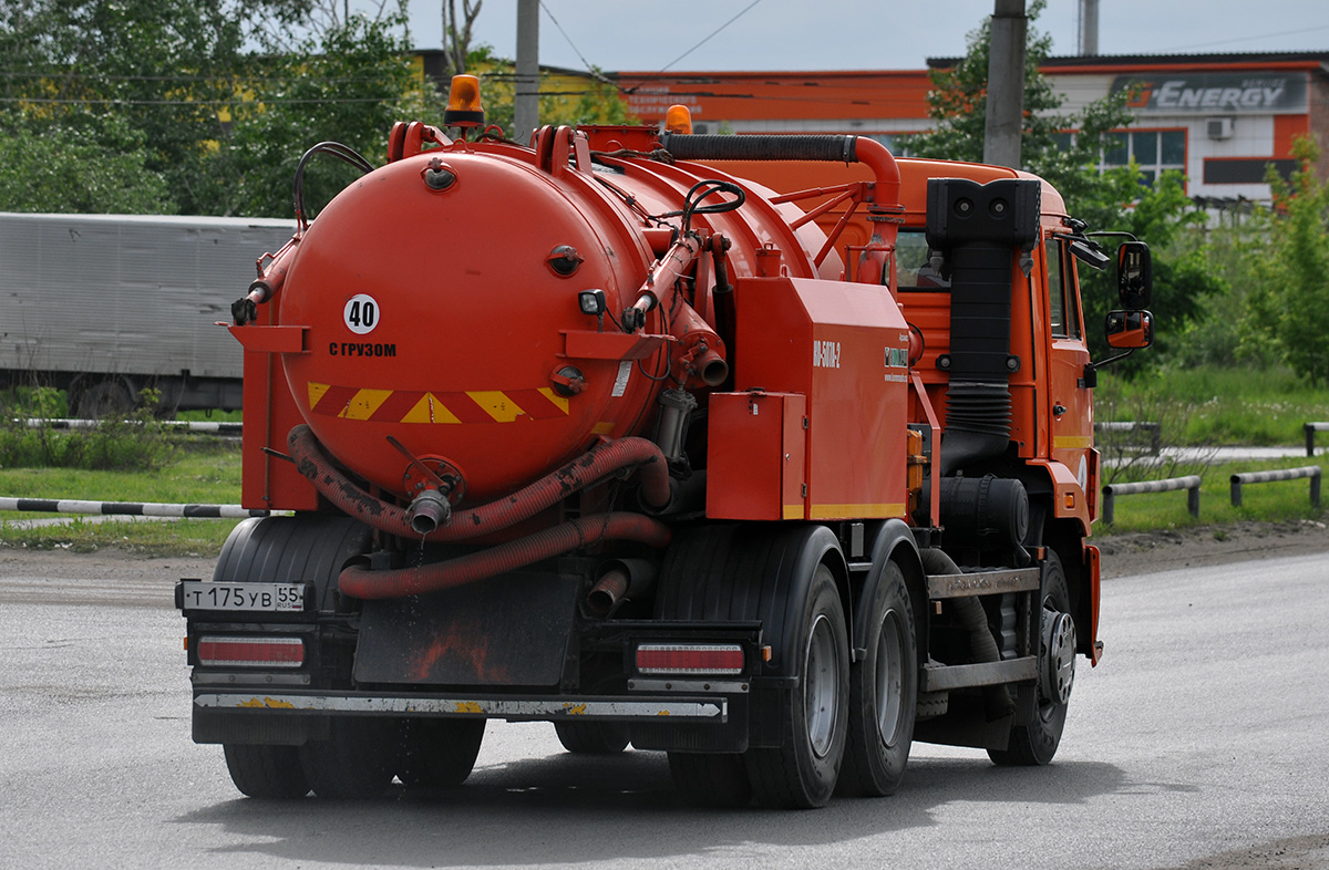 Омская область, № Т 175 УВ 55 — КамАЗ-65115-L4(19)