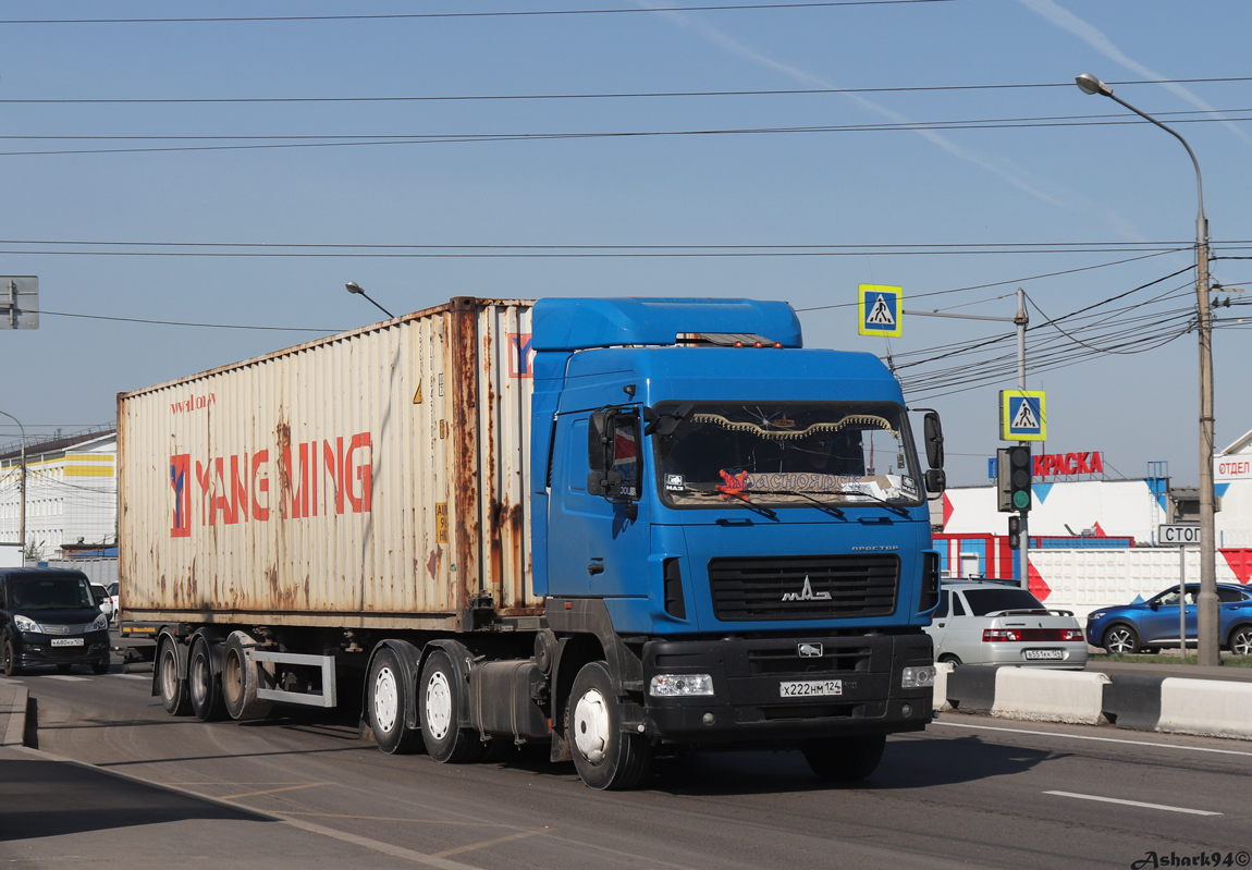 Красноярский край, № Х 222 НМ 124 — МАЗ-643028 Красноярский край, № Х 222 НМ 124 — МАЗ-643028