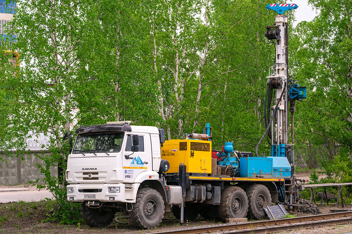 Архангельская область, № О 116 ЕМ 29 — КамАЗ-43118-50