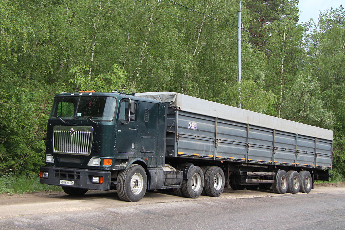 Воронежская область, № Х 046 КК 136 — International 9800i