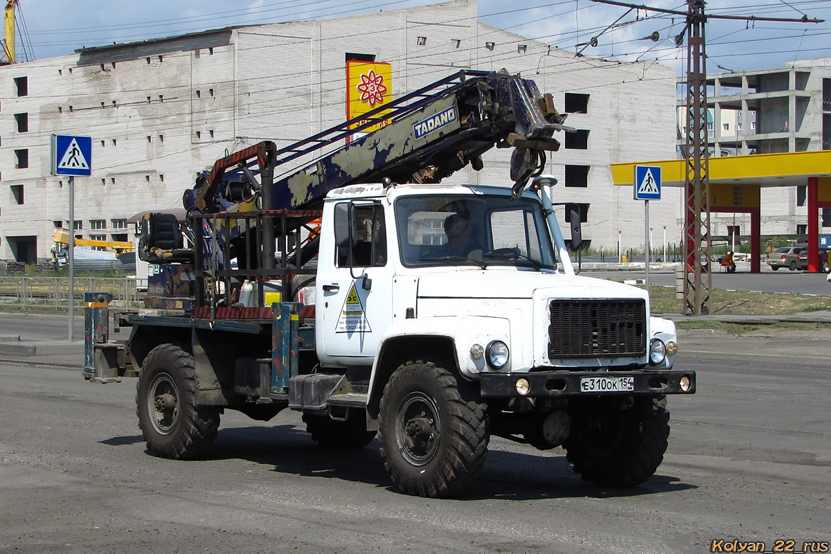 Новосибирская область, № Е 310 ОК 154 — ГАЗ-33081 «Садко»