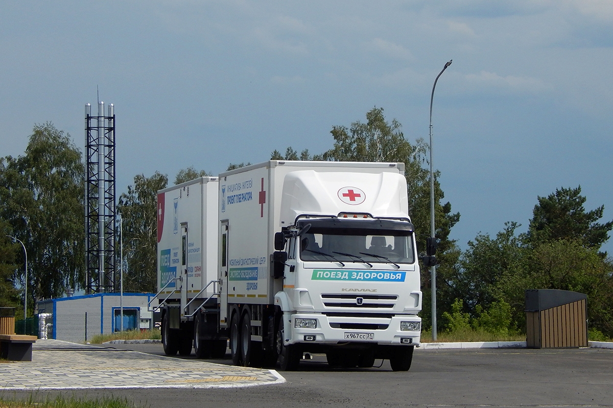 Белгородская область, № Х 967 СС 31 — КамАЗ-65115 (общая модель) Белгородская область, № Х 967 СС 31 — КамАЗ-65115 (общая модель)