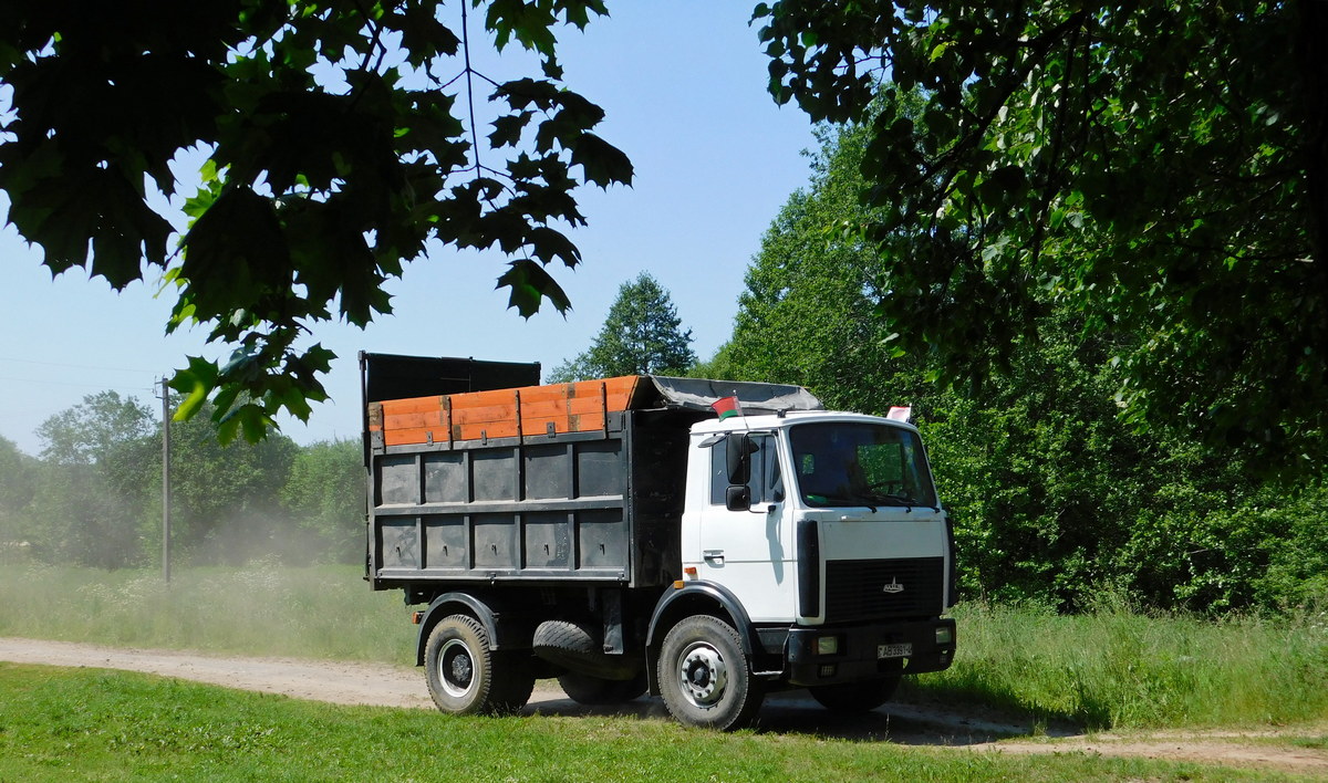 Гродненская область, № AB 3391-4 — МАЗ-5551 (общая модель) Гродненская область, № AB 3391-4 — МАЗ-5551 (общая модель)